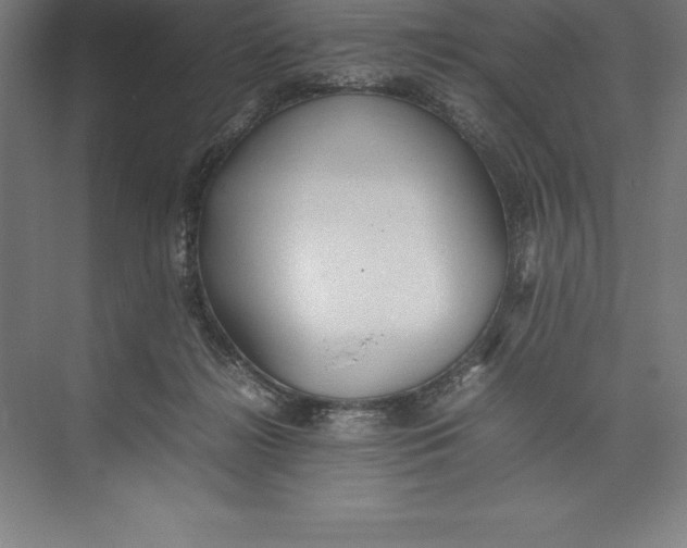 X0000074930268200609221647