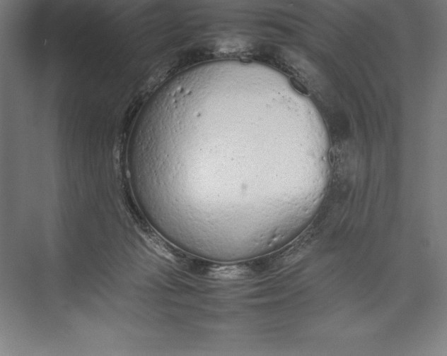 X0000074930269200609221647