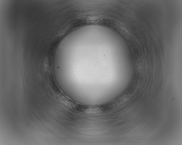 X0000074930270200609221647