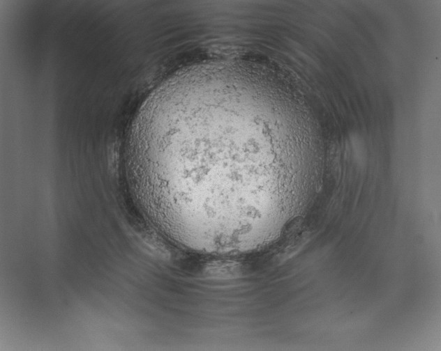 X0000074930271200609221647