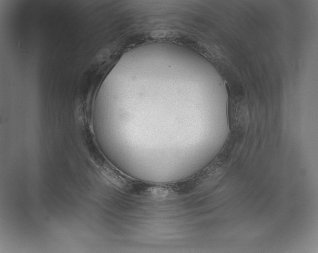 X0000074930272200609221647