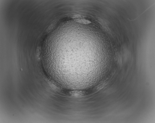 X0000074930273200609221647