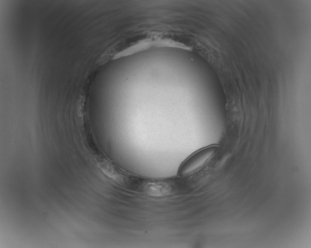 X0000074930275200609221647