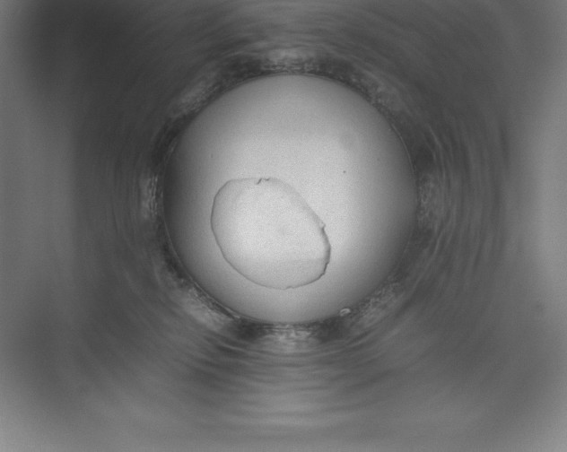 X0000074930278200609221647