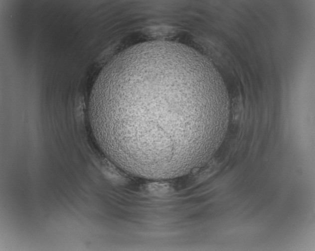 X0000074930279200609221647