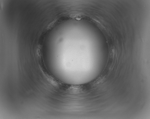 X0000074930280200609221647