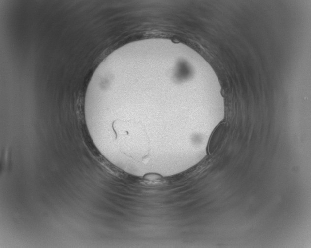 X0000074930281200609221647