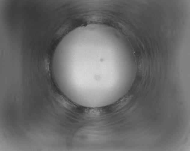 X0000074930282200609221647