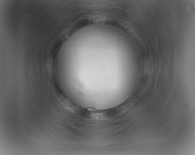 X0000074930283200609221647