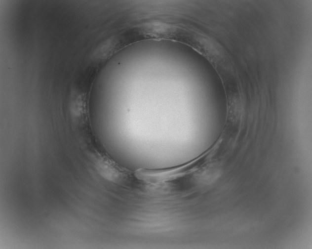 X0000074930284200609221647