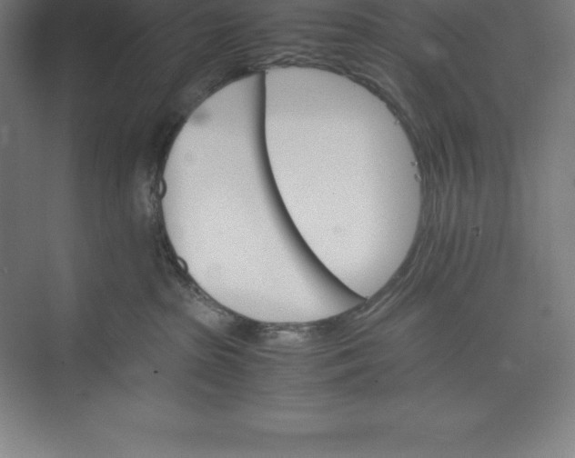 X0000074930285200609221647