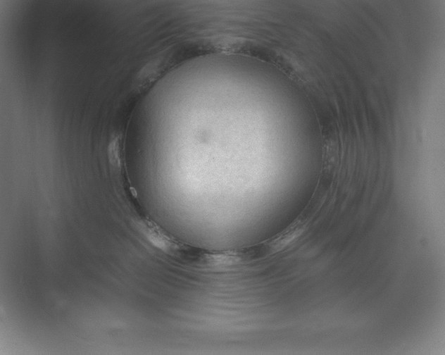 X0000074930286200609221647