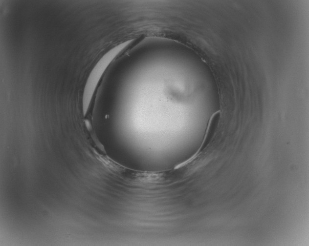 X0000074930288200609221647