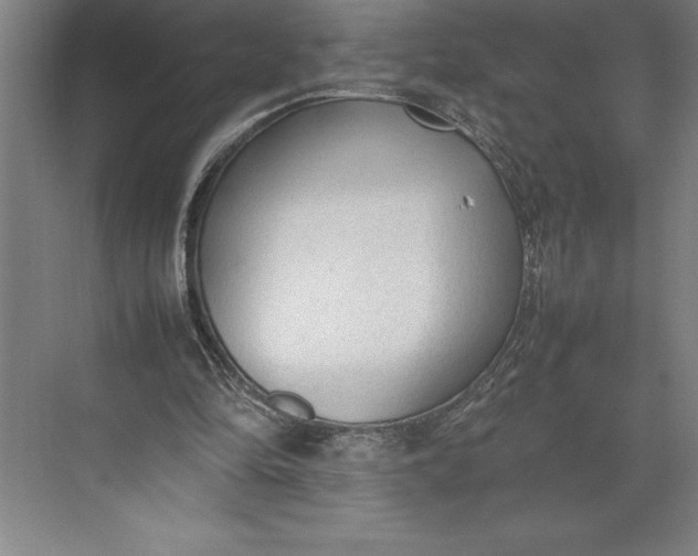 X0000074930294200609221646