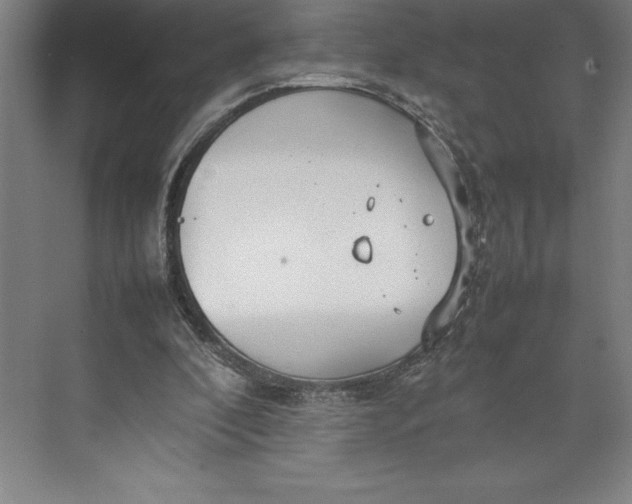 X0000074930296200609221646