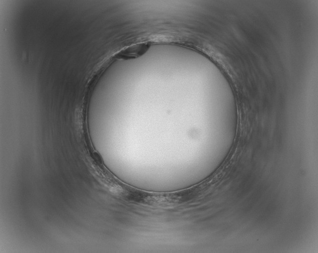 X0000074930297200609221646