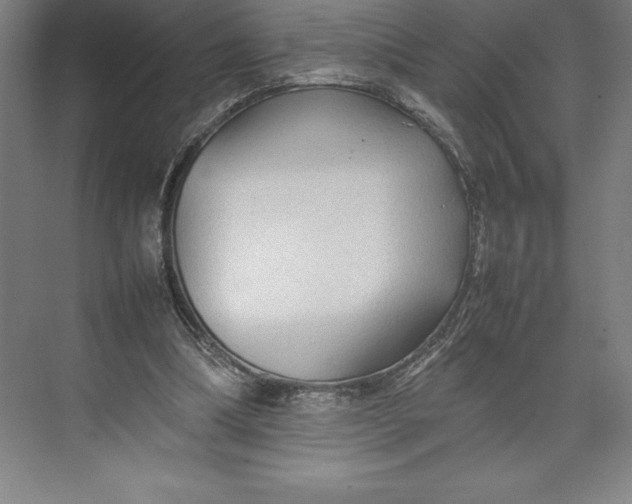 X0000074930298200609221646