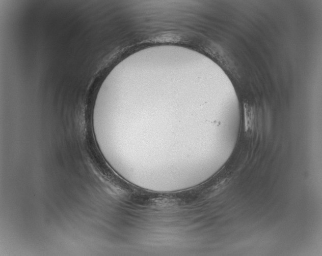 X0000074930300200609221646