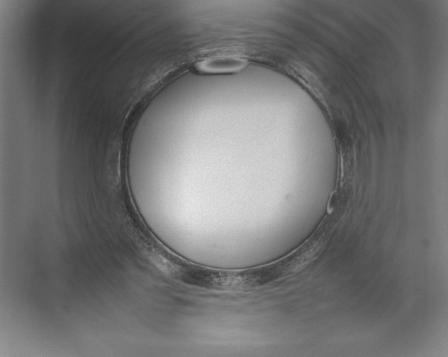 X0000074930301200609221646