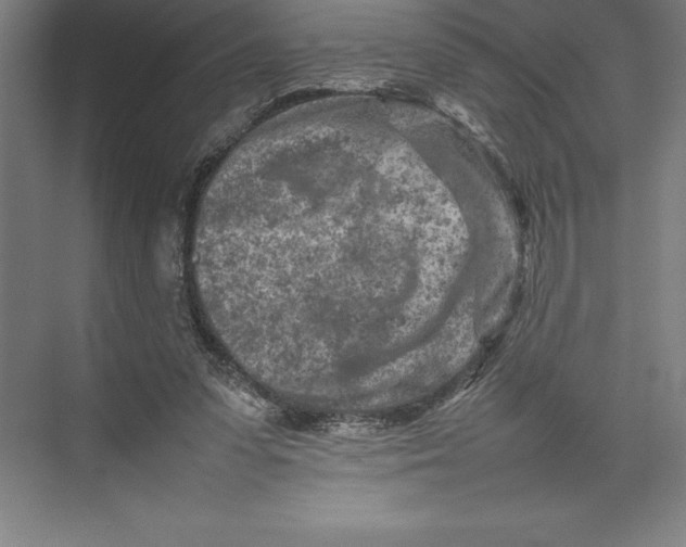 X0000074930303200609221646