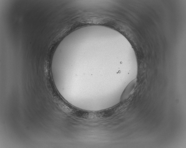 X0000074930305200609221646