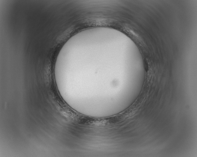 X0000074930306200609221646