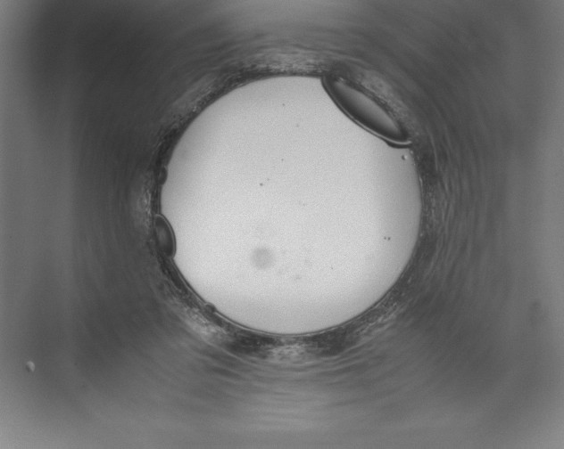 X0000074930309200609221646