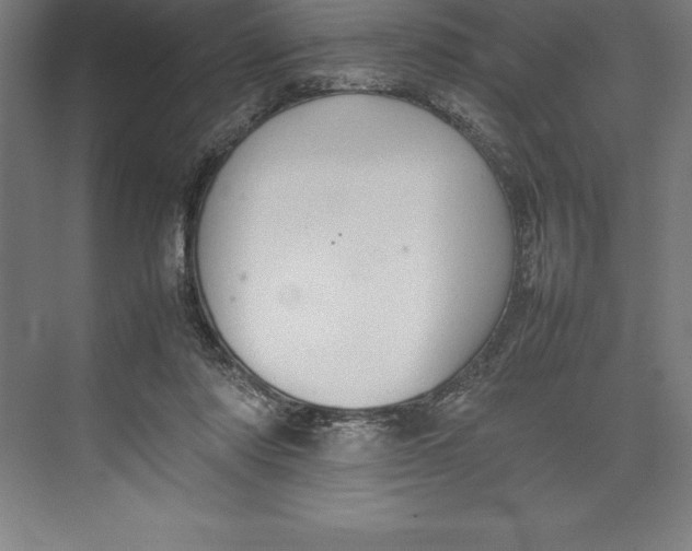 X0000074930310200609221646