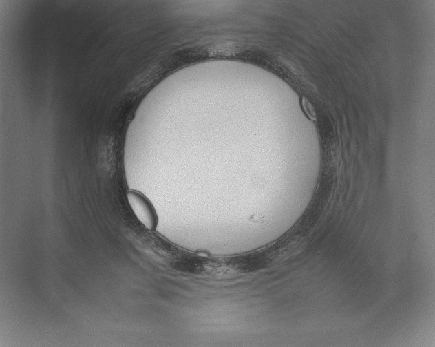 X0000074930311200609221646