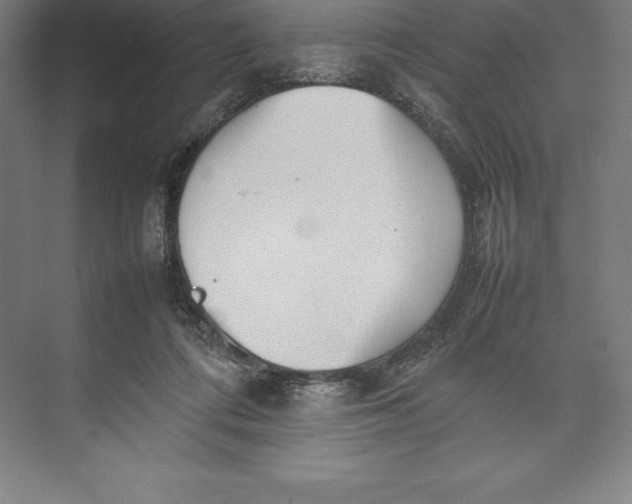 X0000074930312200609221646