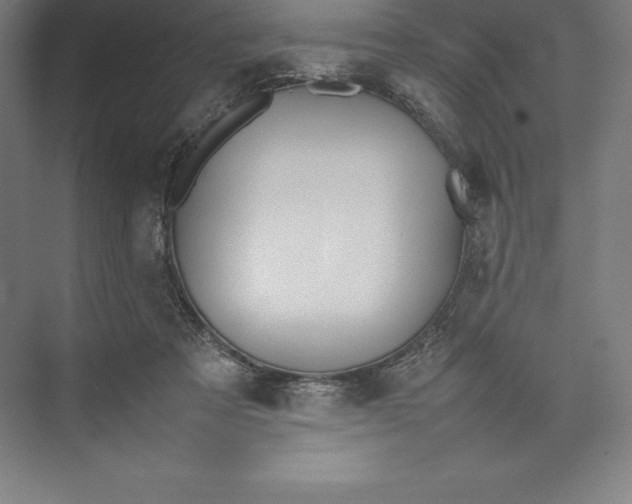 X0000074930313200609221646