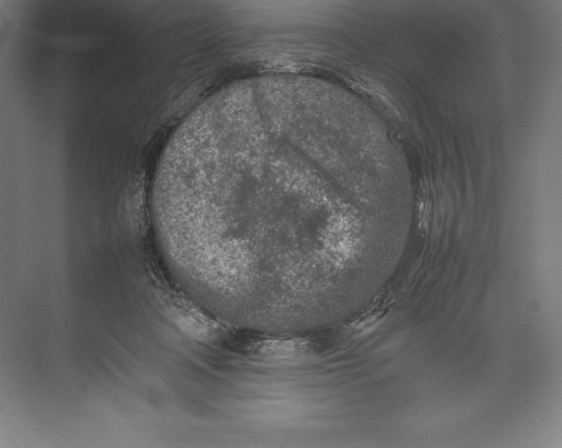 X0000074930314200609221646