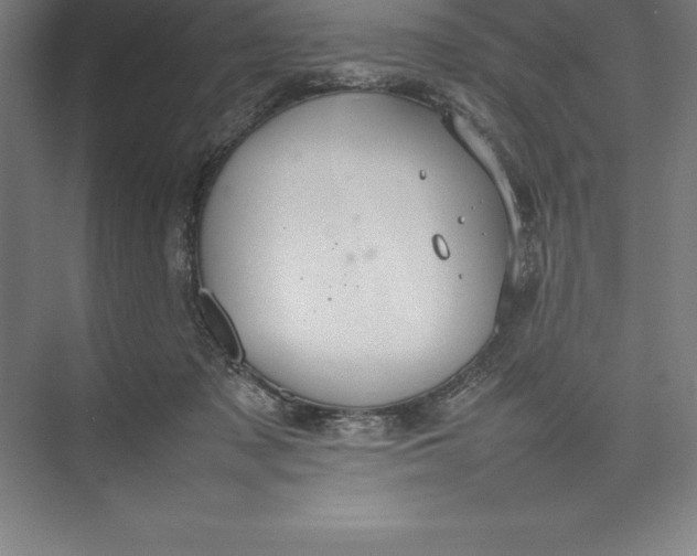 X0000074930317200609221646