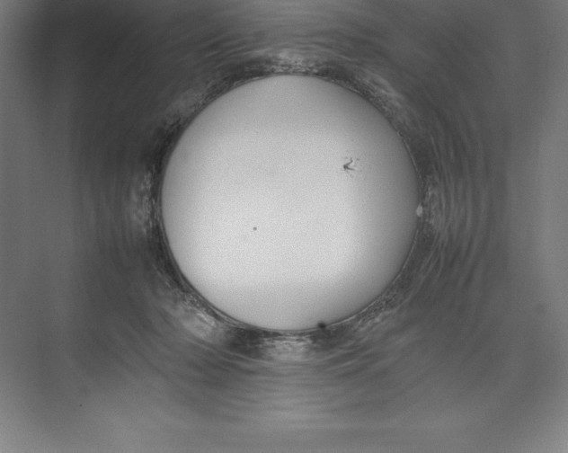 X0000074930318200609221646