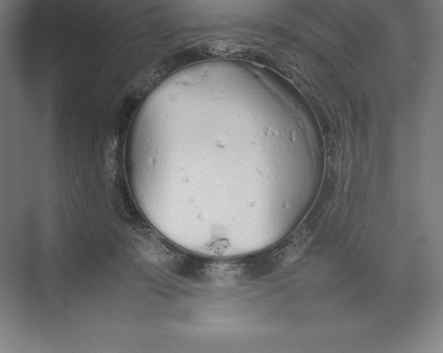 X0000074930319200609221646