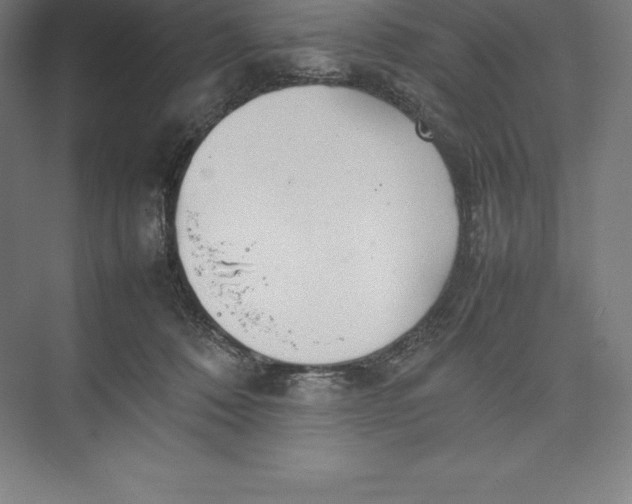 X0000074930320200609221646