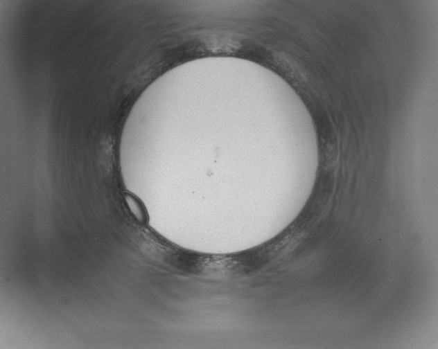 X0000074930321200609221646