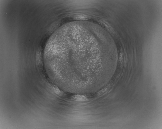 X0000074930322200609221646