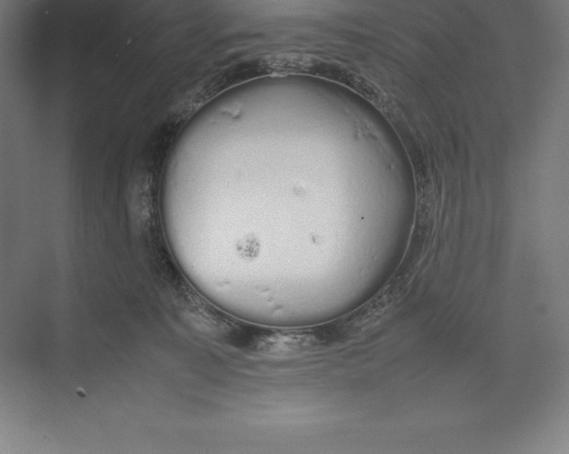 X0000074930323200609221645