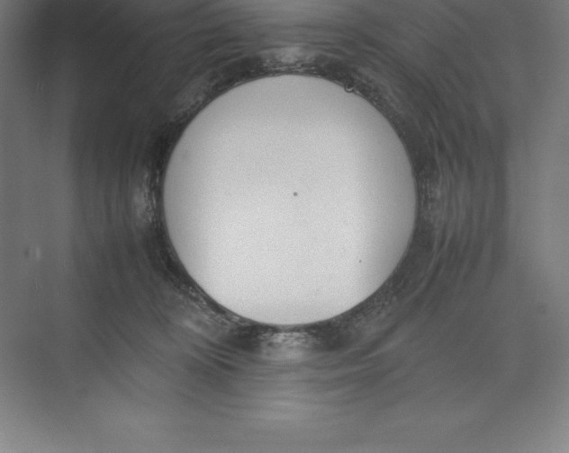 X0000074930324200609221645