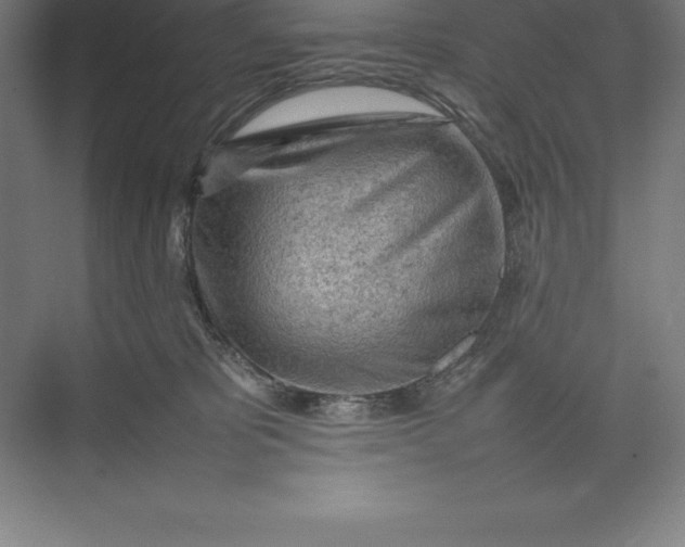 X0000074930325200609221645