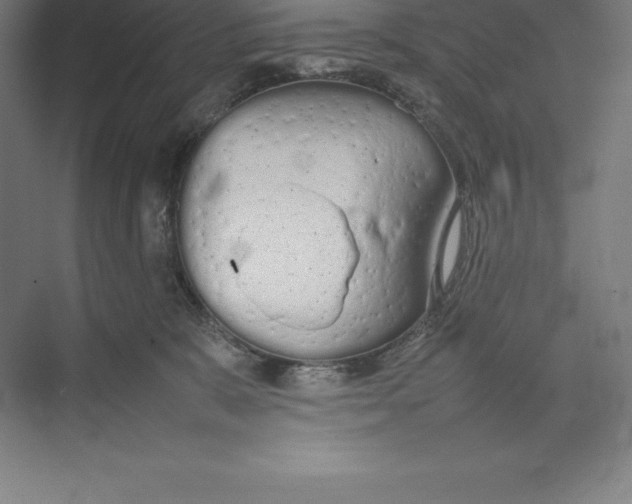 X0000074930327200609221645