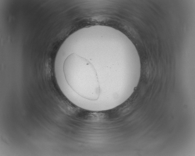 X0000074930328200609221645