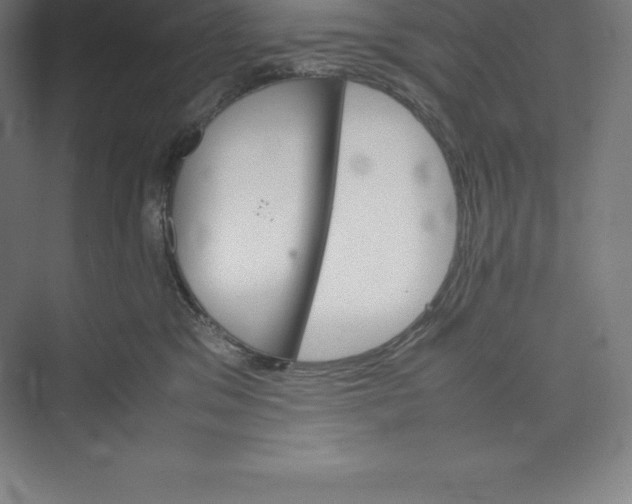 X0000074930329200609221645