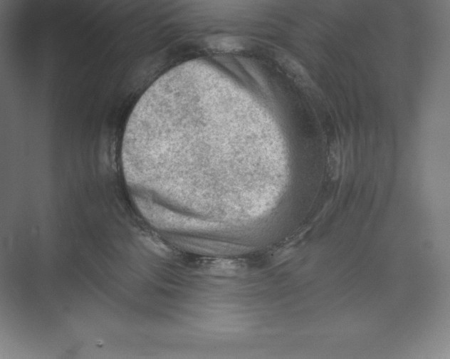 X0000074930330200609221645