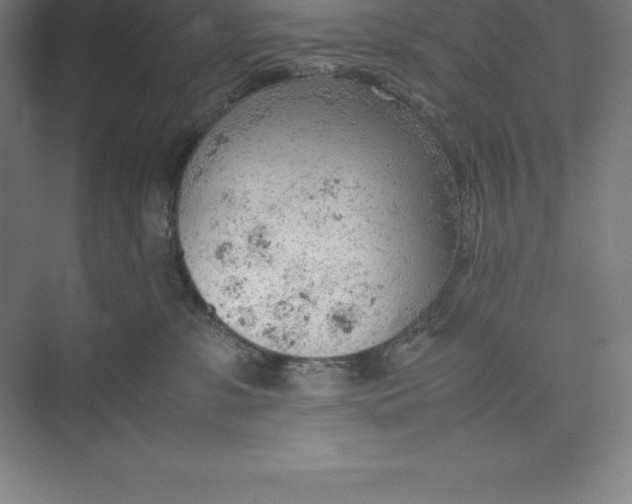 X0000074930331200609221645