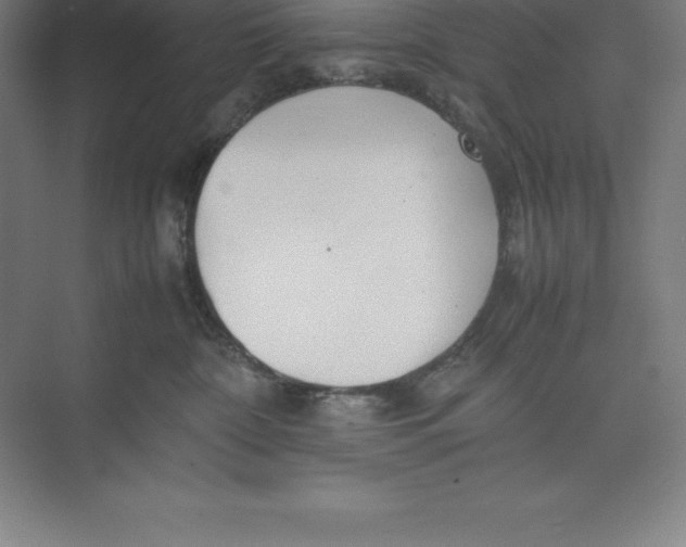 X0000074930332200609221645