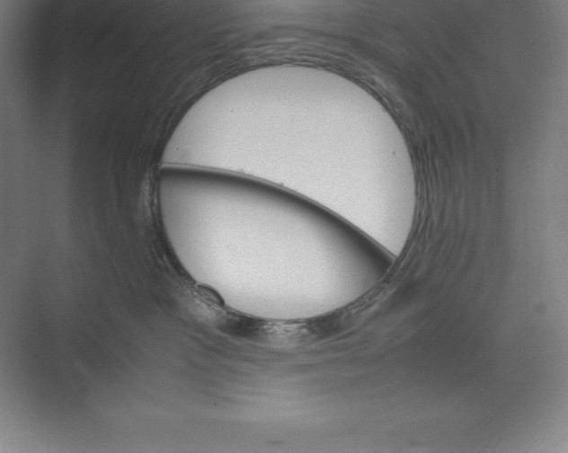 X0000074930333200609221645