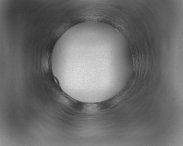 X0000074930334200609221645