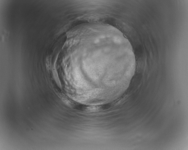 X0000074930335200609221645